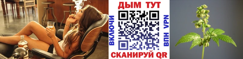 Магазины продажи наркотиков Ревда Галлюциногенные грибы  Alpha PVP  Меф мяу мяу  блэк спрут зеркало  ГАШИШ 