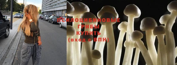 прущие грибы Лихославль