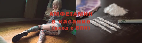 прущие грибы Лихославль