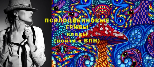 прущие грибы Лихославль