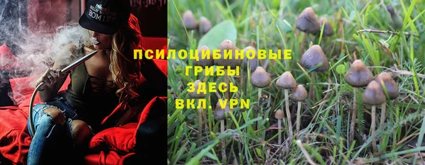 прущие грибы Лихославль