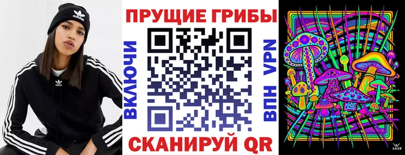 Галлюциногенные грибы Psilocybine cubensis  shop телеграм  Ревда  продажа наркотиков 
